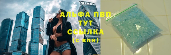 прущие крисы Белокуриха