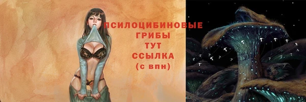 прущие крисы Белокуриха