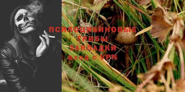 прущие крисы Белокуриха