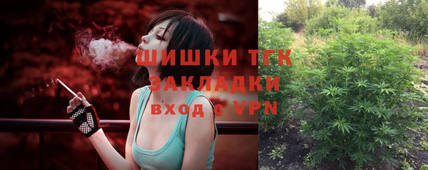 прущие крисы Белокуриха