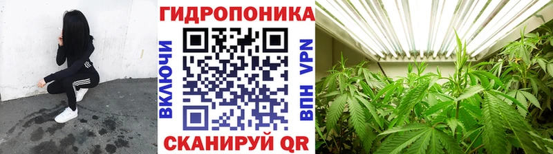Конопля ГИДРОПОН  ОМГ ОМГ ССЫЛКА  Семилуки  наркотики 